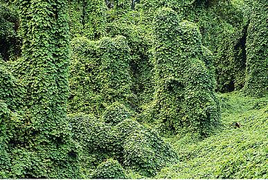 死了就清零重开的生存游戏《沙盒与副本：英勇之地》这谁受得了